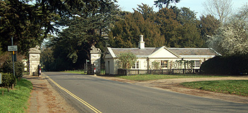 Lion Lodge March 2012